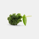 LooseLeaf Kale and Greens Stripper