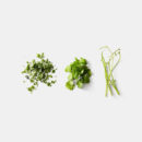 LooseLeaf Kale and Greens Stripper